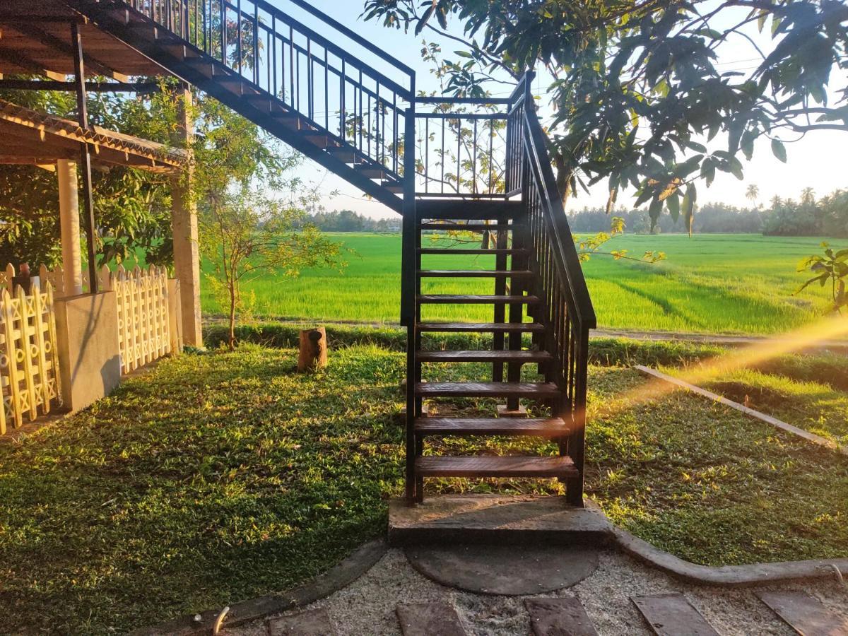 Village Mango Resort Yala Tissamaharama Buitenkant foto