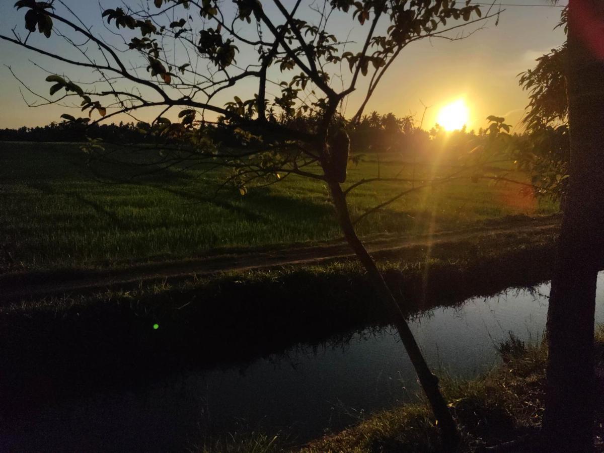 Village Mango Resort Yala Tissamaharama Buitenkant foto