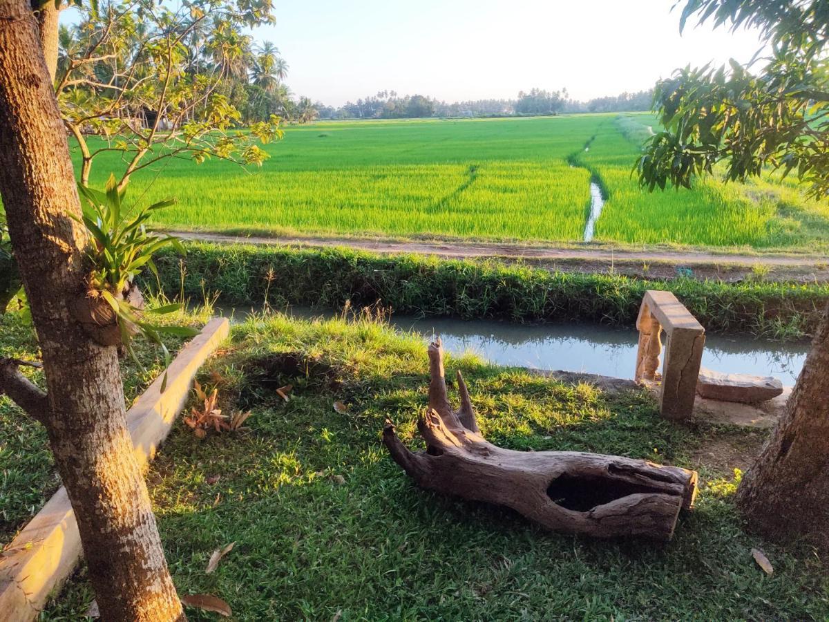Village Mango Resort Yala Tissamaharama Buitenkant foto