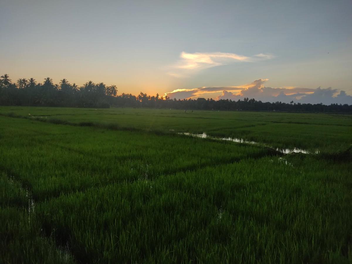 Village Mango Resort Yala Tissamaharama Buitenkant foto