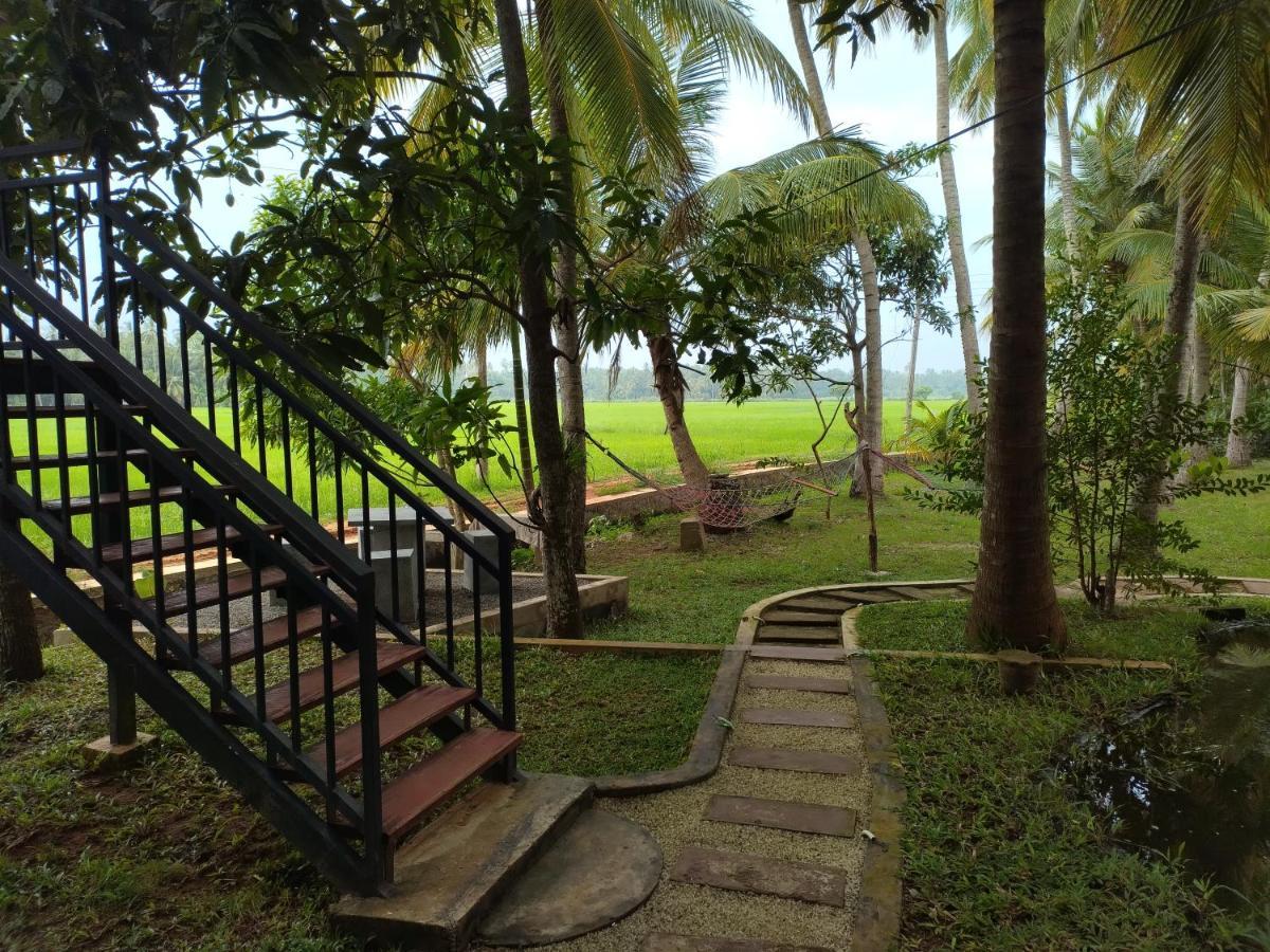 Village Mango Resort Yala Tissamaharama Buitenkant foto