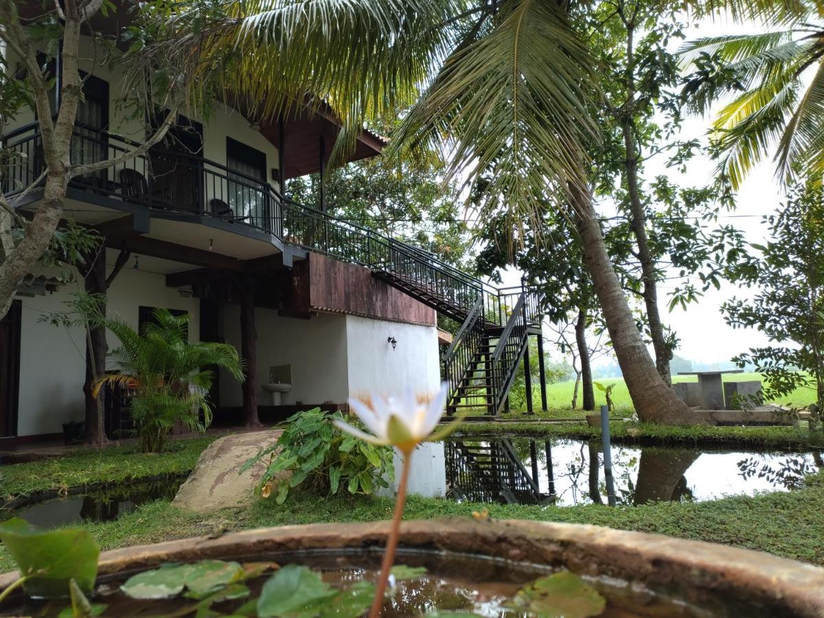 Village Mango Resort Yala Tissamaharama Buitenkant foto