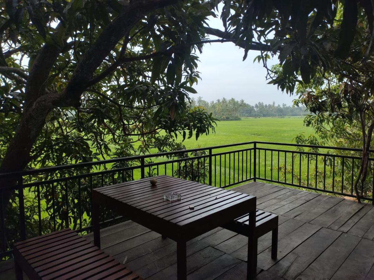 Village Mango Resort Yala Tissamaharama Buitenkant foto