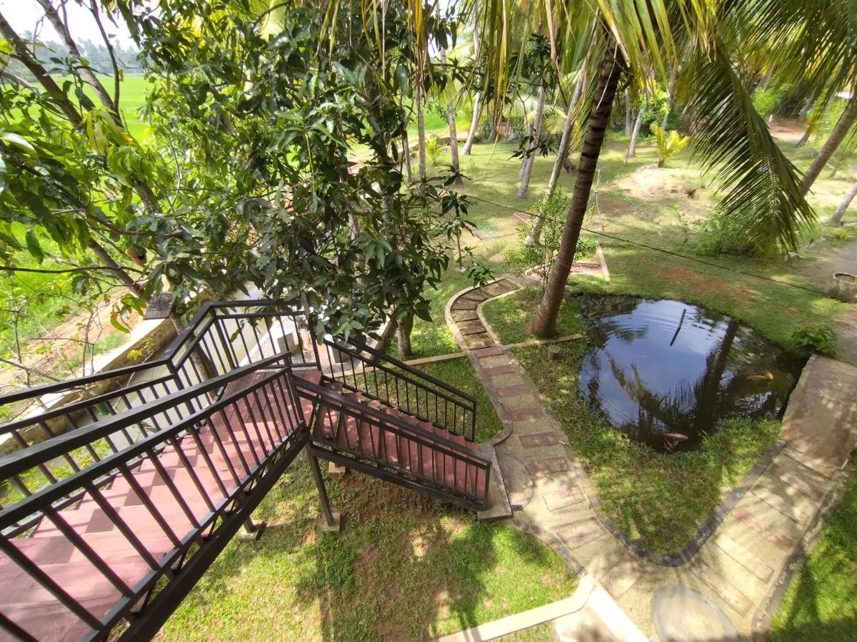 Village Mango Resort Yala Tissamaharama Buitenkant foto