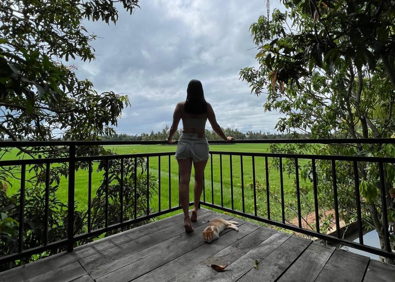 Village Mango Resort Yala Tissamaharama Buitenkant foto