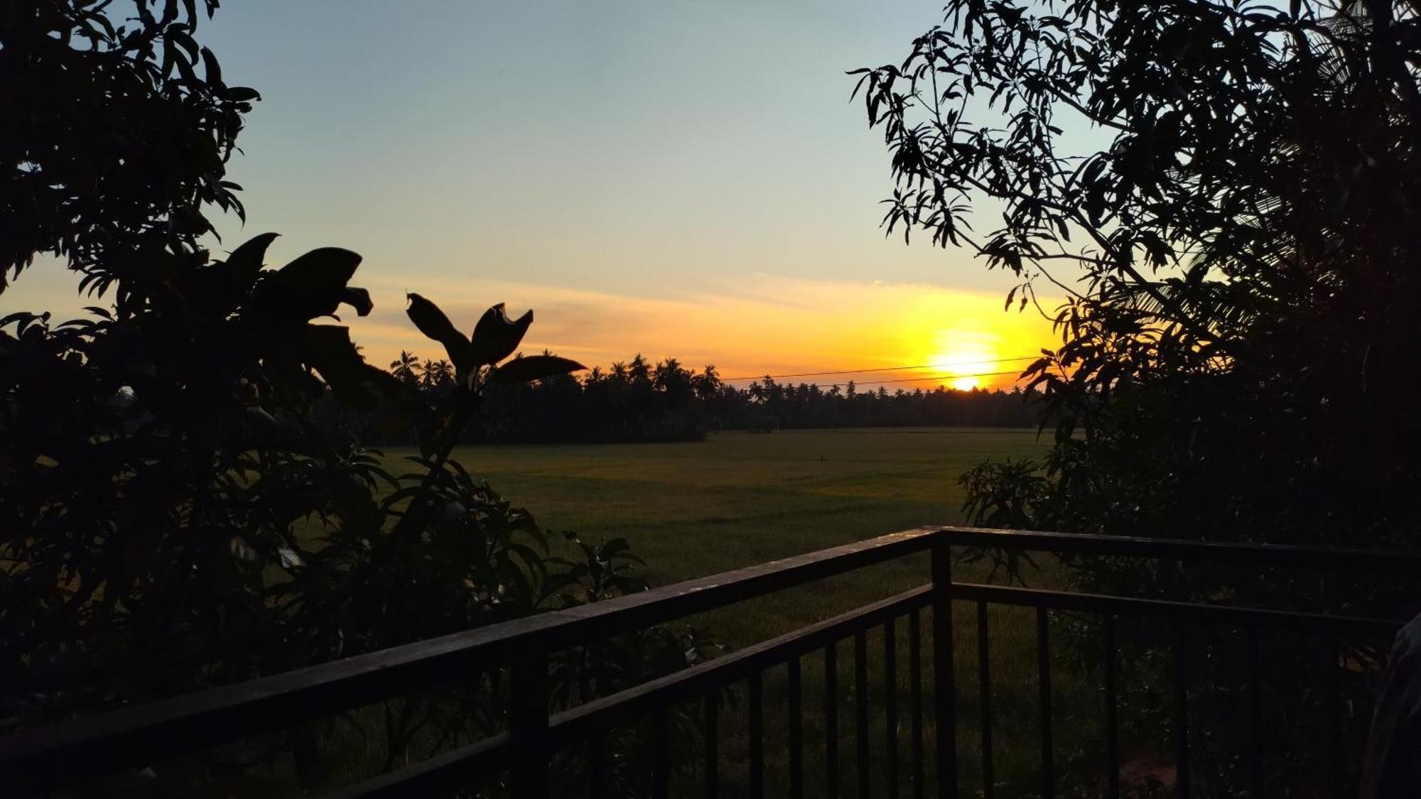 Village Mango Resort Yala Tissamaharama Buitenkant foto
